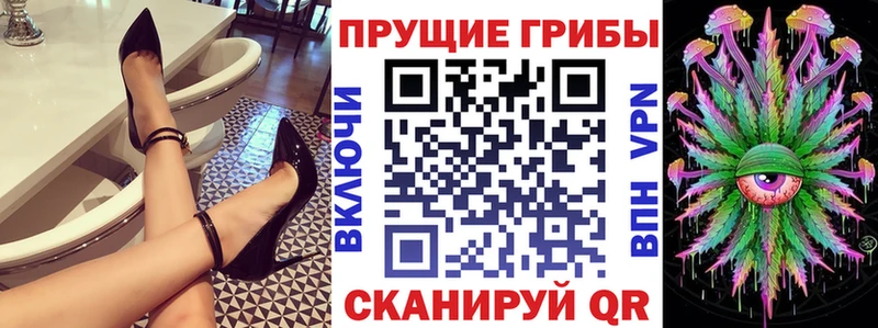 Псилоцибиновые грибы Psilocybe Миньяр